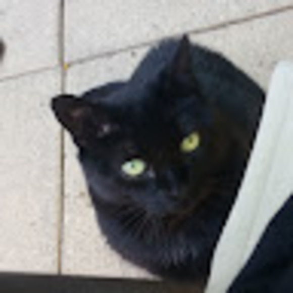 Meet your Posher, Lisa - Picture 1 of 1